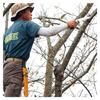 U-M Industry (Silky) Scabbard Saw Rubber Boy 7 Curve Rough Grain 240mm 465-24 Easy and Speedy Pruning of Live Trees