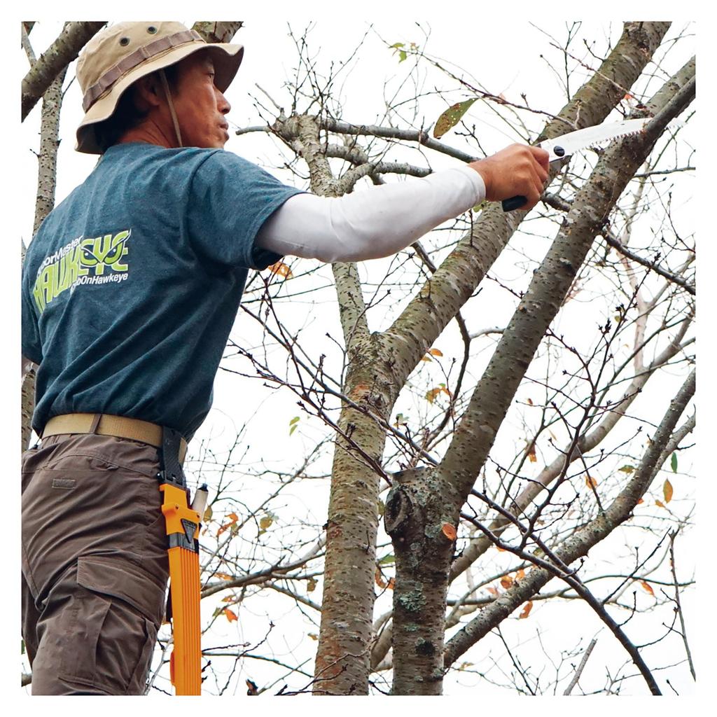 U-M Industry (Silky) Scabbard Saw Rubber Boy 7 Curve Rough Grain 240mm 465-24 Easy and Speedy Pruning of Live Trees