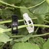 100PCS Garden Plant Flowers Tied Bundle Branch Clamp Clip Class Tools Flowers Vegetables Vine