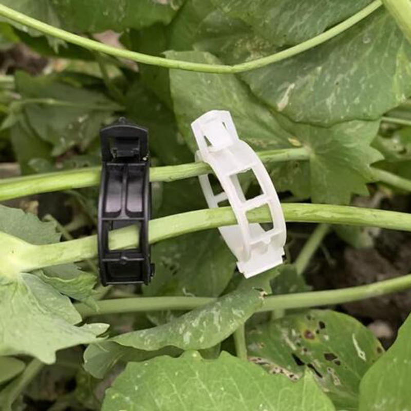 100PCS Garden Plant Flowers Tied Bundle Branch Clamp Clip Class Tools Flowers Vegetables Vine
