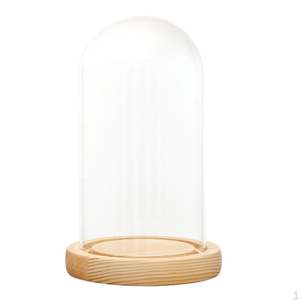 Cloche Tabletop Display Case Jar with Wooden Diy Craft Making Supplies