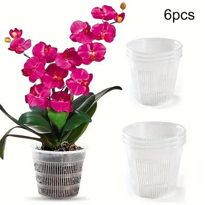 Set di 6 vasi trasparenti per orchidee con sottovasi, per radici sane e una facile manutenzione.