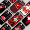 Switzerland Swiss Flag Magnetic Phone Case For APPLE iPhone 17 Air 16 14 13 12 Pro Max 15 Plus Wireless Charge MagSafe Cover