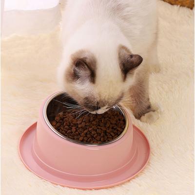 Kedi – Kedi Besleme ve Sulama Malzemeleri