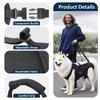 Lesă de Asistență pentru Scări pentru Câini Sling de Suport pentru Câini Vârstnici Vestă Reglabilă pentru Ridicarea Animalelor de Companie Ham de Asistență la Urcarea Scărilor pentru Câini Mari