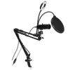 USB Microphone OneKey Mute RGB Light Podcast PC Cardioid Condenser Mic Kit for Recording Live Streaming(A6S with 35