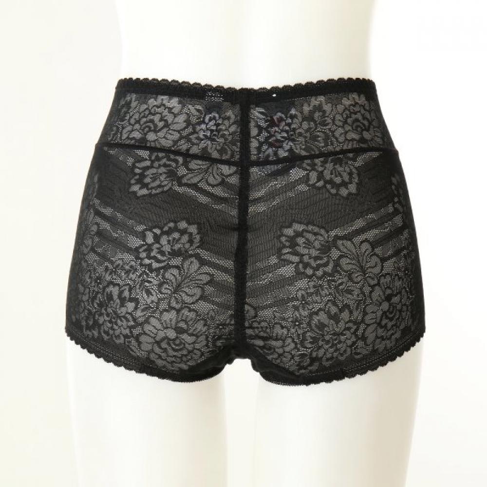 Wacoal Lace Brief Wpt3808