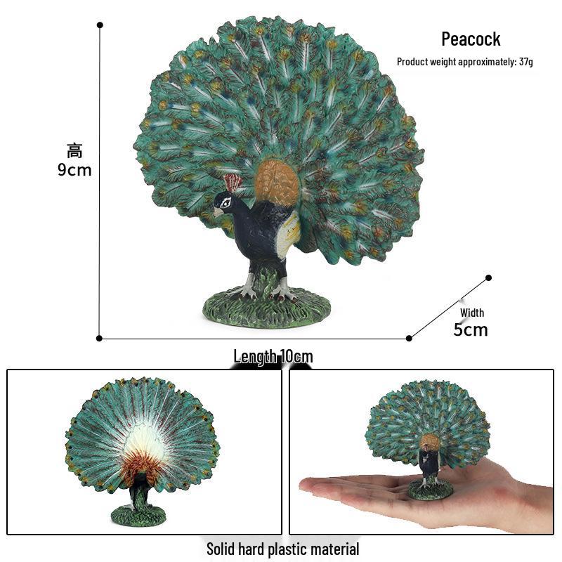 Wild Animal Bird Models: Peafowl & Parrot Ornaments for Kids