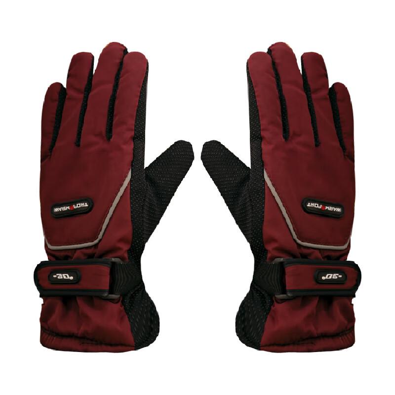 Warm Ski Gloves