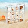 New 16-Grid Seashell Display Box with Magnets Acrylic Storage Display Organizer Box Durable Starfishs Trinket Storage Case