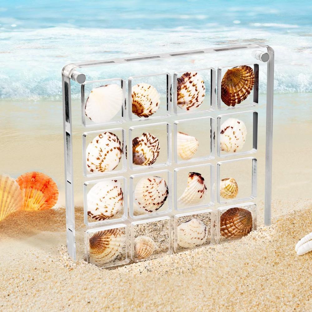 16-Grid Seashell Display Box with Magnets Acrylic Storage Display Organizer Box Durable Starfishs Trinket Storage Case