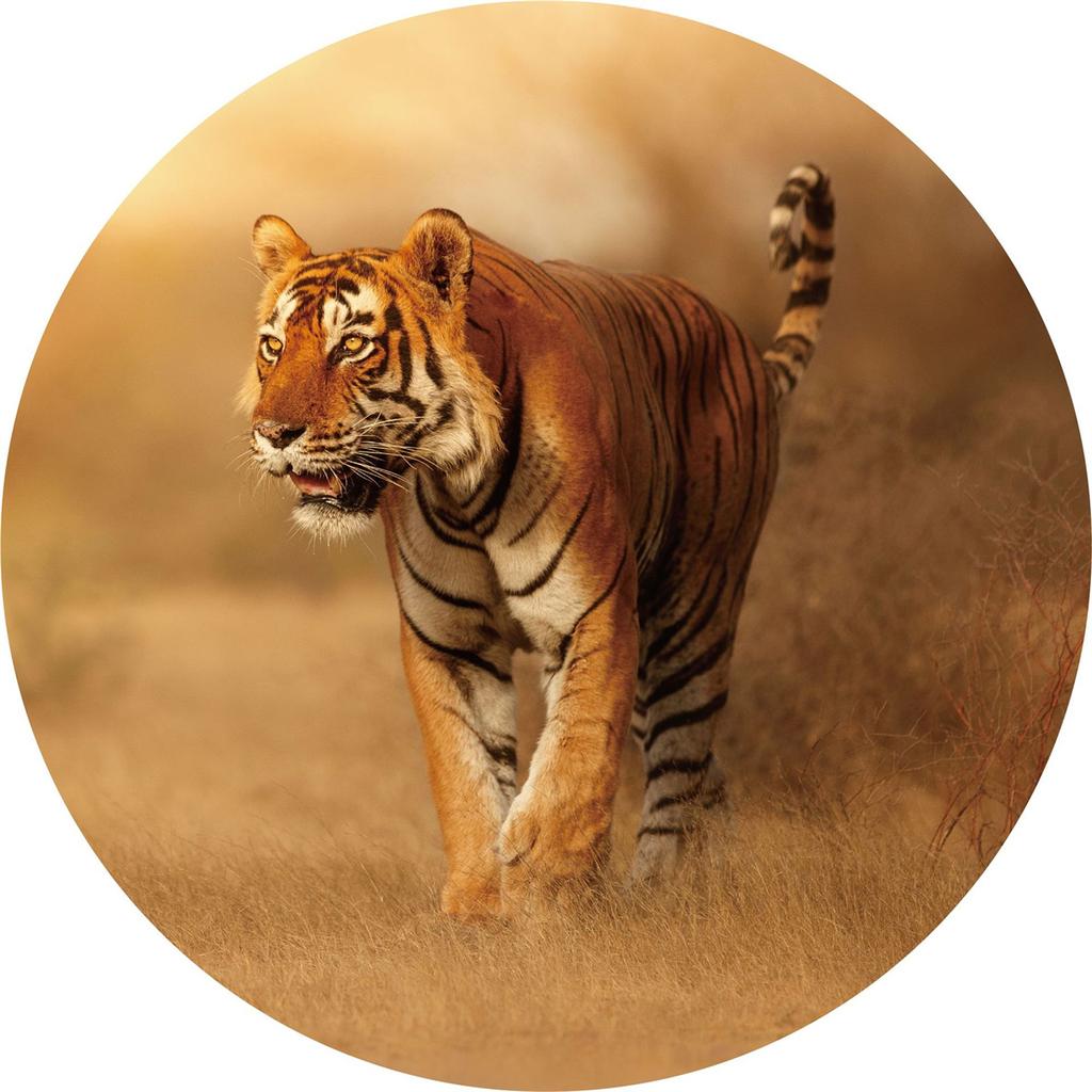 150PCS Puzzles Toys Educational Jigsaw Set For Kids Adults Puzzle Gifts Unique Paper DIY Crafts Famliy Puzzle Games Jigsaw Toys