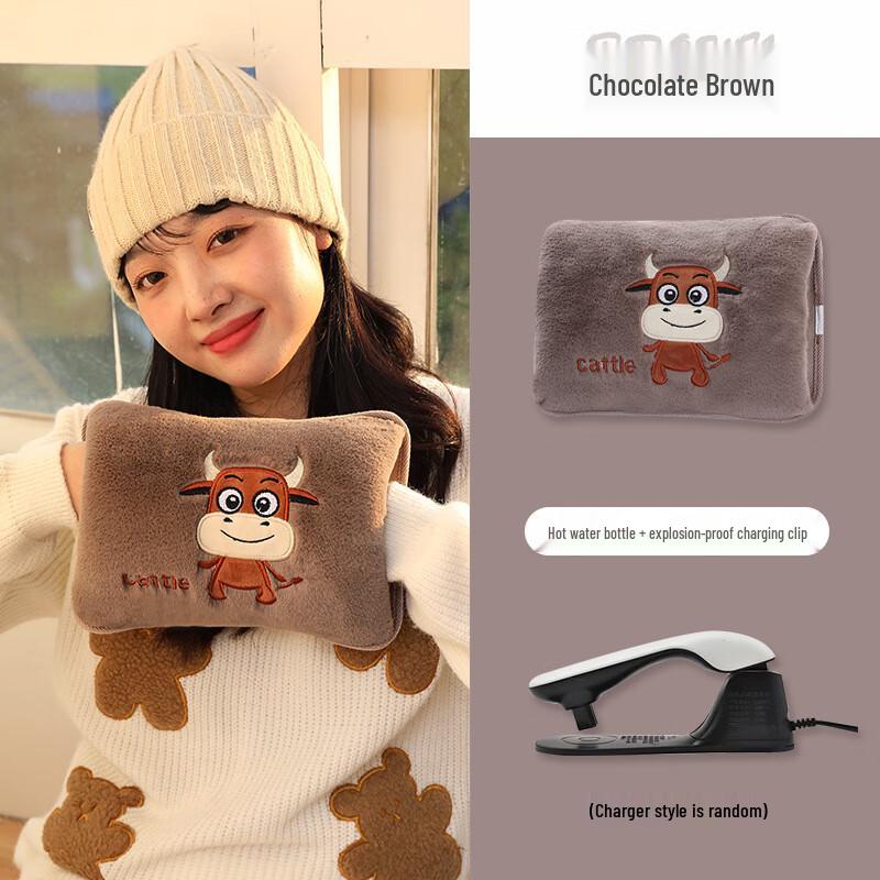 DUTRIEUXZ Rechargeable Electric Hot Water Bottle & Hand Warmer