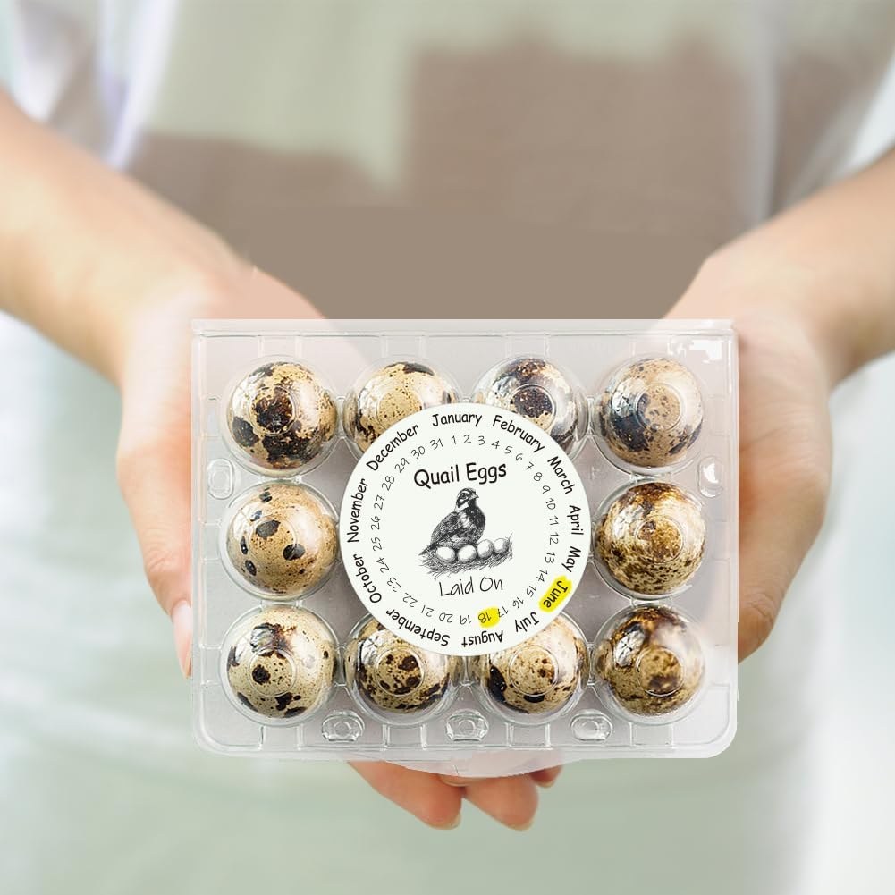 320 Pcs Quail Farm Fresh Eggs Stickers, 2 Inch Round Unwashed Eggs Carton Labels Sticker PET Adhesive Egg Packaging Stickers for Box Container Carton
