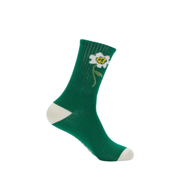 Vans SOCKS Knee High Socks Women's 1 Pack Green VN00035QY5L