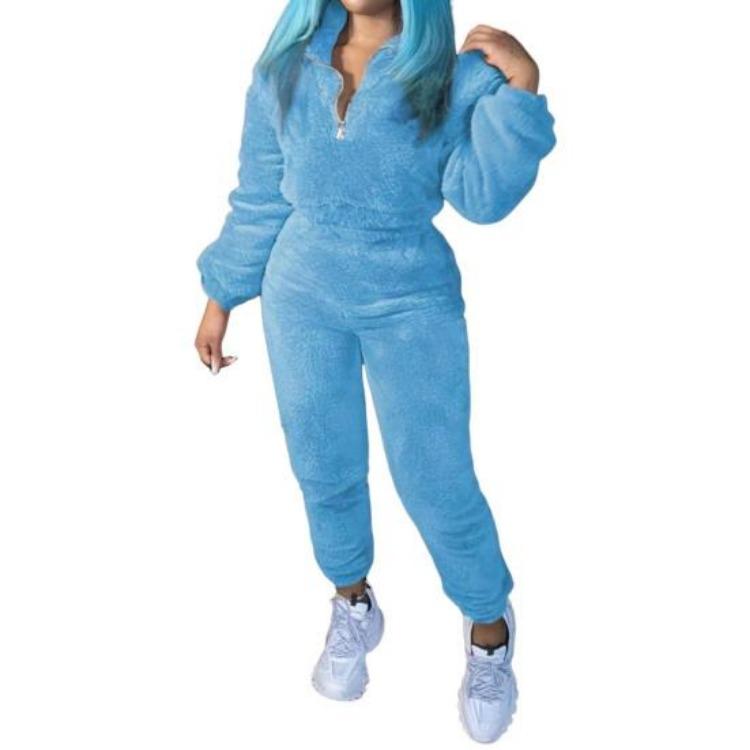 Set Trening Plușat Culoare Solidă pentru Femei 2 Bucăți Top cu Mânecă Lungă și Guler Ridicat și Pantaloni Groși cu Talie Elastică Îmbrăcăminte Sport