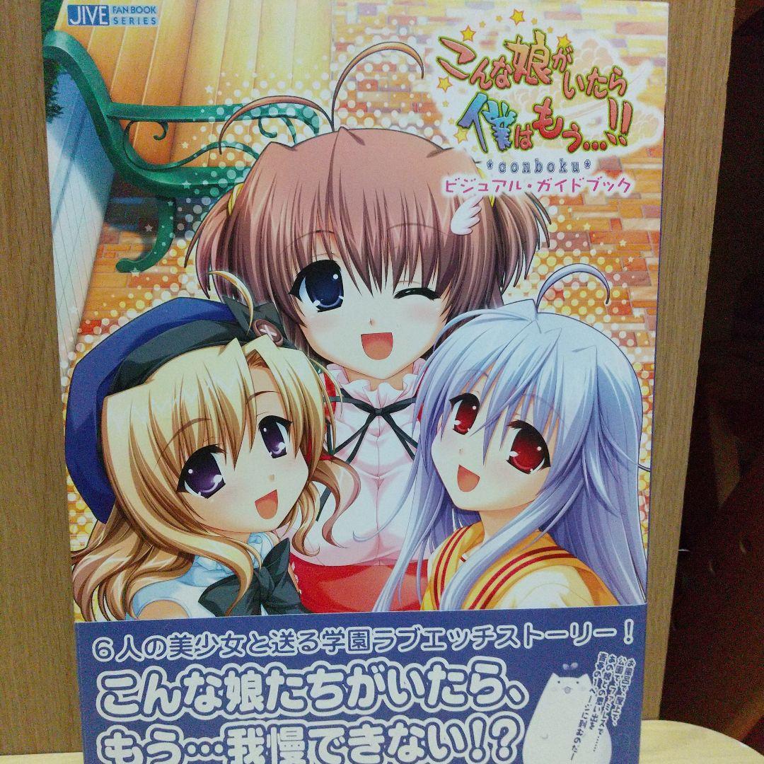 

[USED] If I had a girl like this, I would be...!! Visual Fan Book