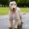 Waterproof Dog Poncho Dog Raincoat with Buttons Waterproof Dog Raincoat with Hood Leash Hole for Dogs Transparent for Puppies