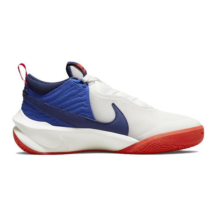 Nike Team Hustle D 10 Slip Resistant Abrasion Resistant Low Top Children's Basketball Shoes CW6735-103