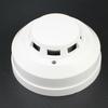 Explosion-Proof Smoke Detector & Alarm with 12V/24V Switch and PLC Compatibility