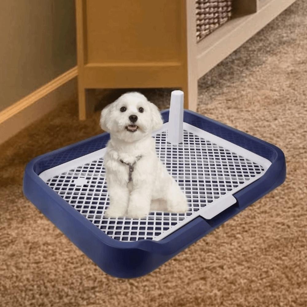 Removable Net Dog Training Toilet Mesh Dog Potty Trainer Dog Potty Toilet Training