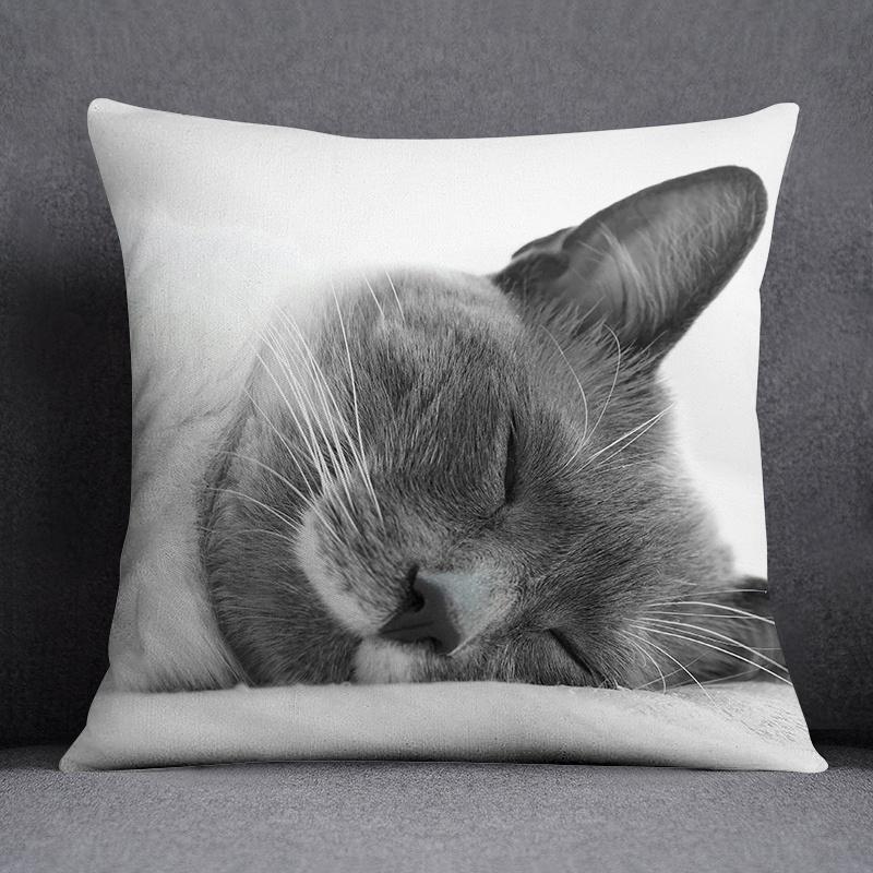 Cat Series Pattern Decorative Pillowcase, Square Home Office Decoration (45Cm * 45Cm)