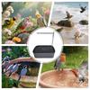 Bird Bath Automatic Parrot Bathtub Quiet Tub with Circulating Faucet USB Electric Bird Shower Fountain for Lovebird Parakeet