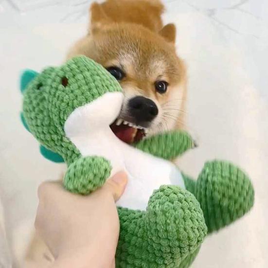 Hund Plüsch Dinosaurier Spielzeug Interaktives Kauspielzeug Weiches Quietschendes Hund Kuscheltier Welpen Zahnungsspielzeug