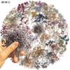 50PCS Retro Dried Flower Gypsophila Transparent PET Stickers DIY Phone Case Skateboard Water Bottle Decor Toy Sticker Pack