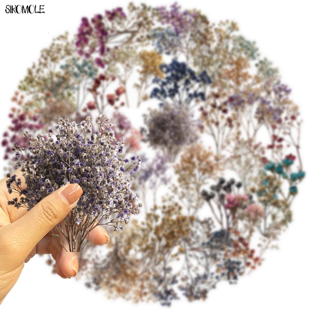 50PCS Retro Dried Flower Gypsophila Transparent PET Stickers DIY Phone Case Skateboard Water Bottle Decor Toy Sticker Pack