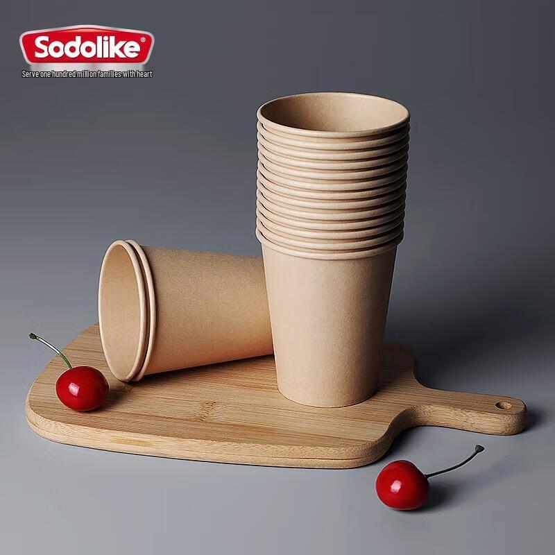 Miaojie 9oz Disposable Thickened Bamboo Pulp Cups - 100 Count