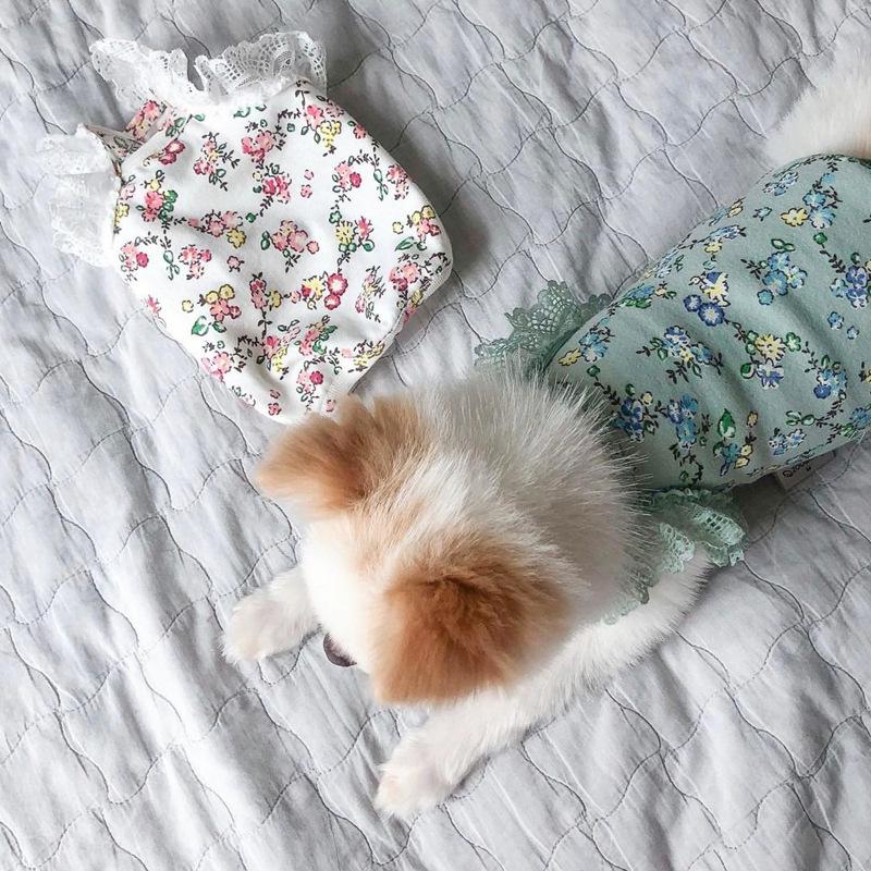 Pet Psí oblečení Vesta Jaro a Podzim Tenká kočka Pomeranian Malé štěně Teddy