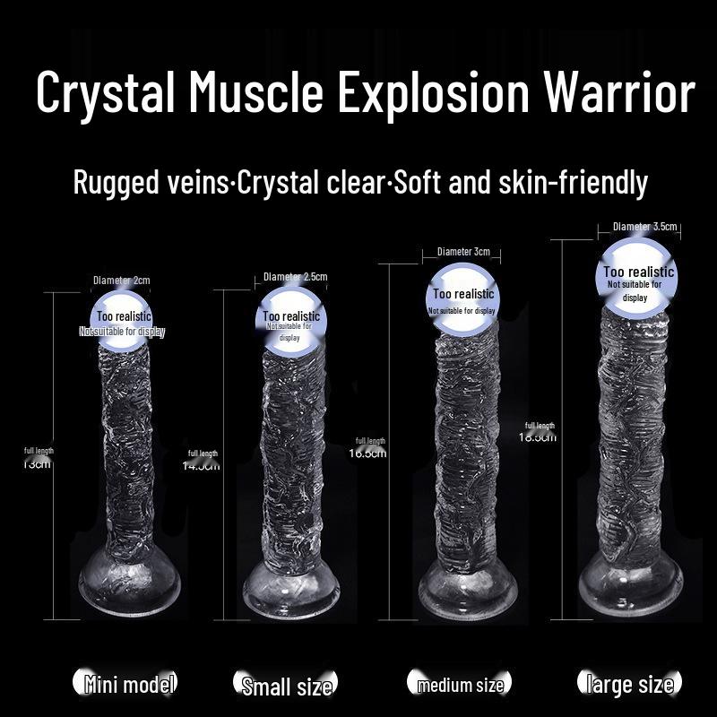 Long Love Transparent Realistic Dildo & Anal Plug for Women