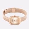 CALVIN KLEIN watch quartz movement stainless steel strap 26.7mm gold dial men's watch 30 meters waterproof 25100101