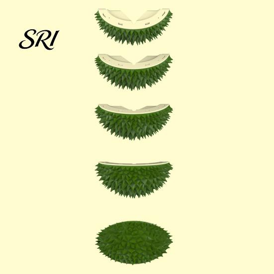 Durian Shape Cat Toy Self Groomer Wall Corner Face Massager Boredom Relief Grooming Brush for Indoor Long Short Fur Cats Hair Remover