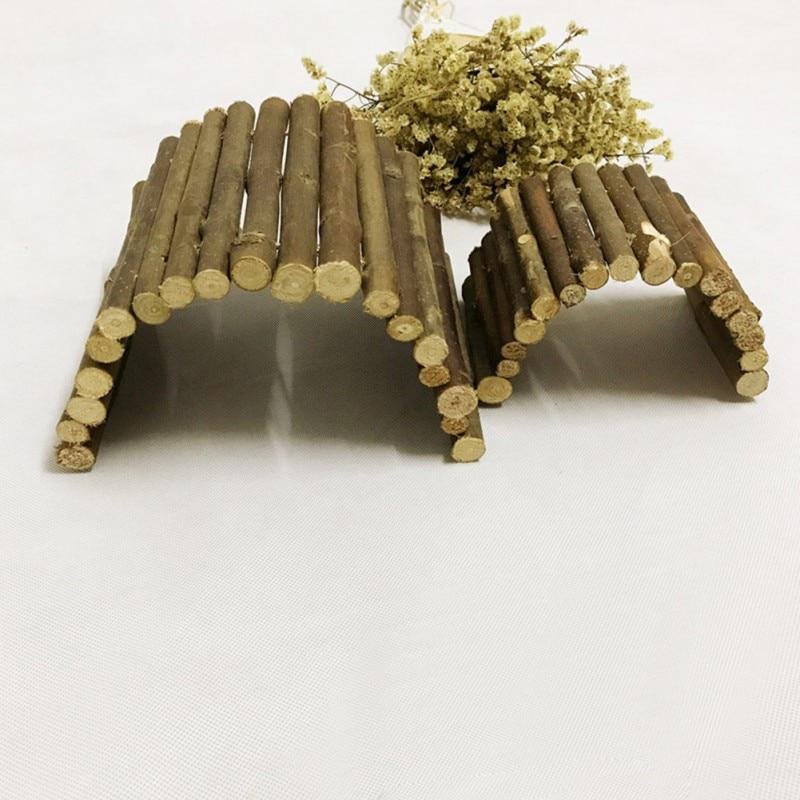 Beautiful view of Tortoise Hamster Cage Accessories Online Shopping Store