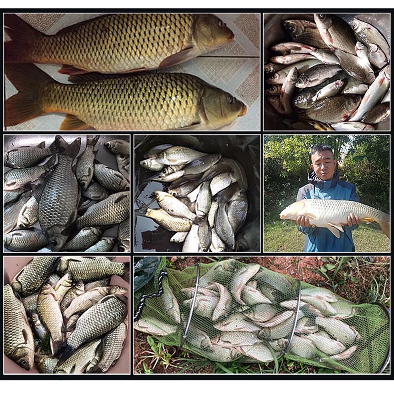 Western Wind Zoetwater Visvoer 1200g