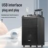 KaYouLa LG-60 Portable Outdoor Karaoke Bluetooth Trolley Speaker CN Plug (adapter Included)
