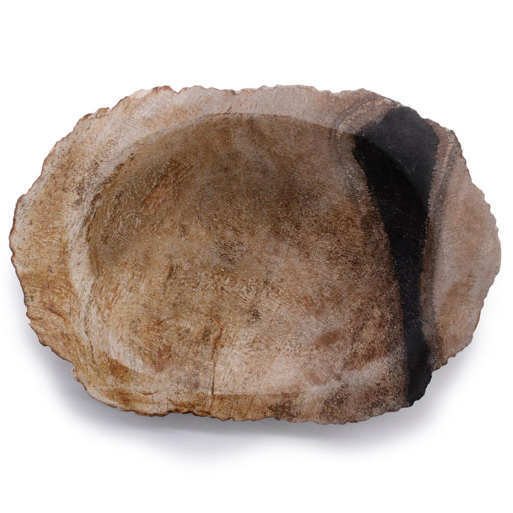 Black Soap Dish Petrified Wood