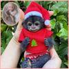 Bonecas e peluches – Bonecas
