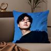 Korean Actor LLee MinHo Pillow Case Silky elegant Comfort Sofa Bed Invisible zipper