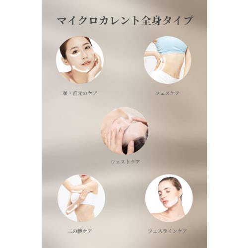 Facial Beauty Roller EMS Micro-current Facial Beauty Device Face Beauty Roller Luxury Design & IPX5 Waterproof Specification Multipurpose In 1 USB Cha