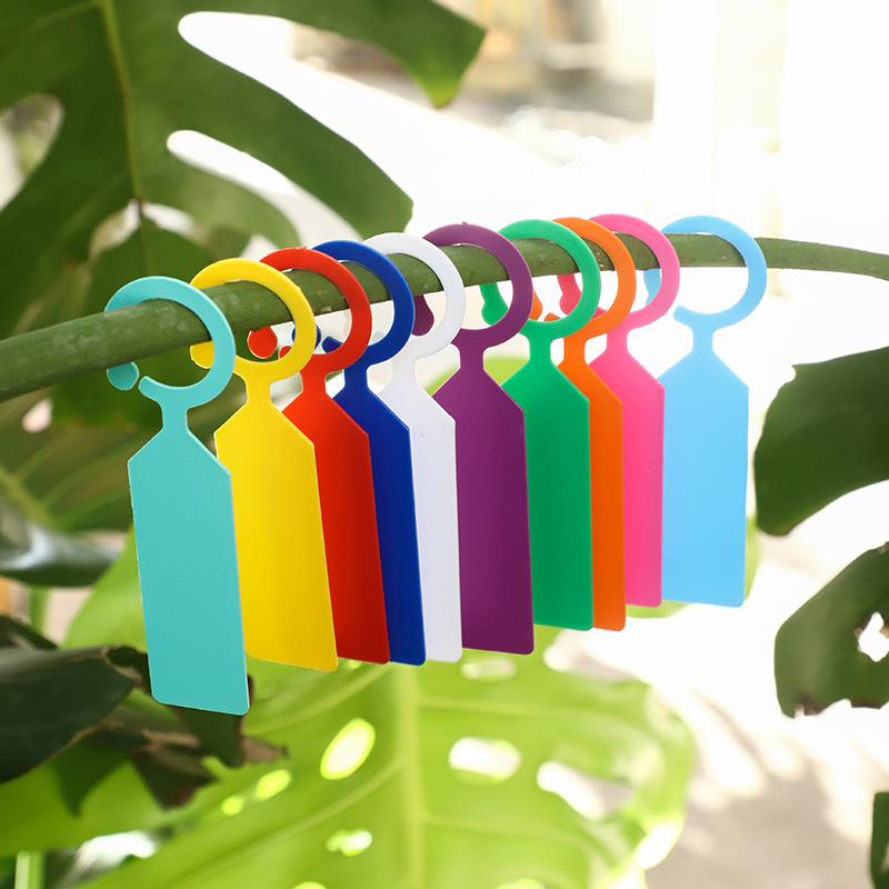Waterproof Plant Variety Marking Tags - Durable Plastic, Ring Buckle Design for Seedlings, Flowers, Grapes, Watermelons, and Fruit Trees