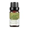 10ML Rosemary Essential Oil Moisturizing Rosemary Single Massage Oil for Beauty