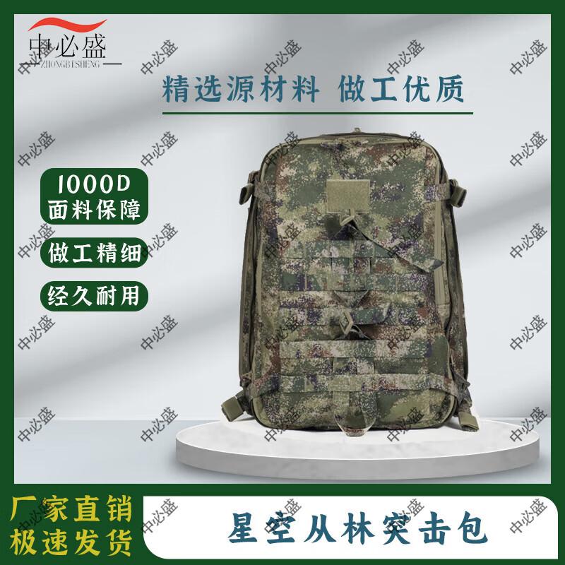 Outdoor Assault Backpack