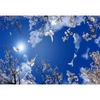 Ceiling Wall Mural Blue Sky White Clouds 3d Wall Mural Suitable For Bedroom Lobby Ceiling Wallpaper Home Decor