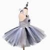 Festival Raccoon Cosplay Costume Girls Annimal Dress Up Tutu Dress Fancy Carnival Birthday Fantasy Children Zoo Vestido