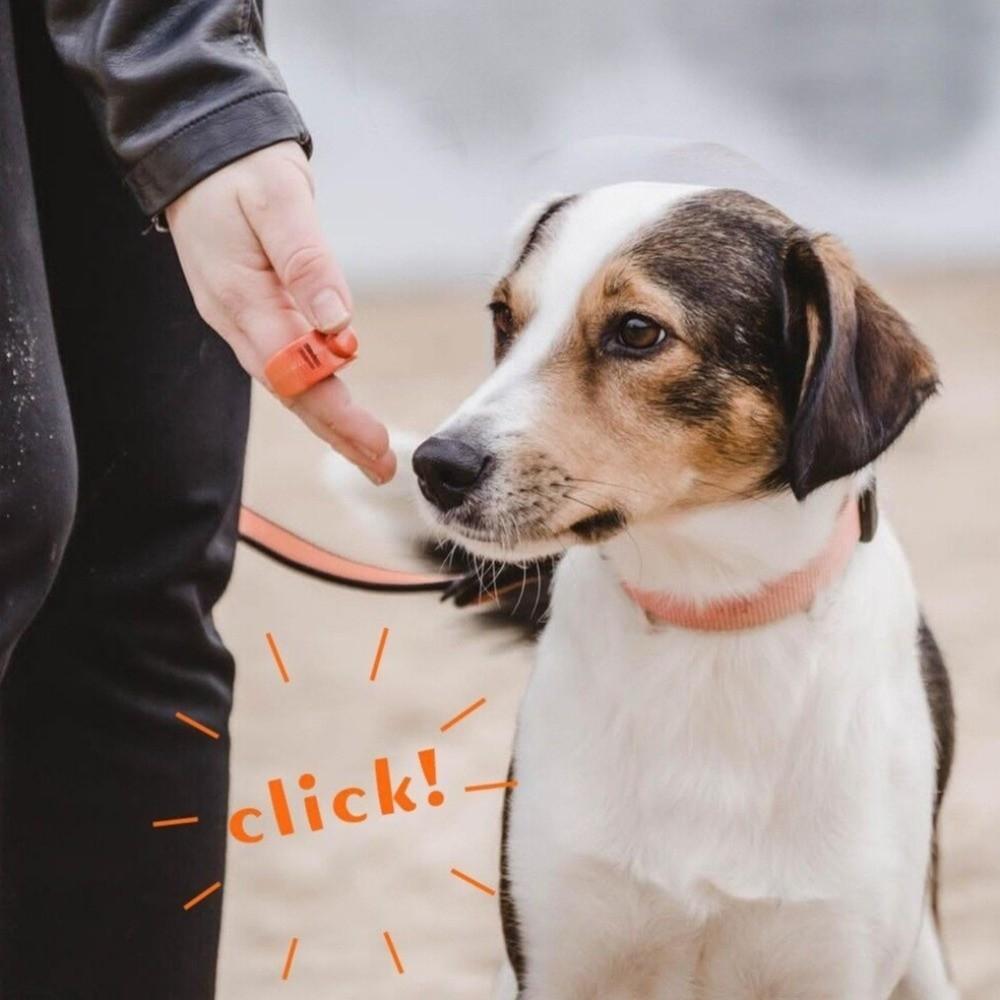 Professional Mini Finger Clickers Rattle Sound Dog Training Clickers  Animal Training
