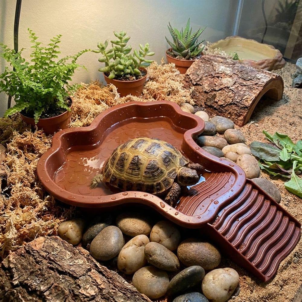 Mit Rampe Schildkröte Badebecken Kunststoff Schildkröte Wasserbecken Reptilien Wasserschale Alle Jahreszeiten
