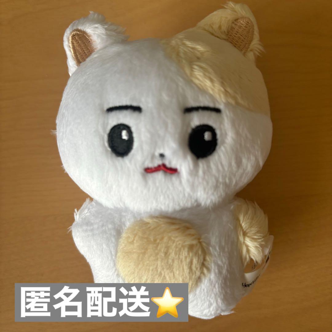 

[USED] ENHYPEN Heeseung Plush Toy